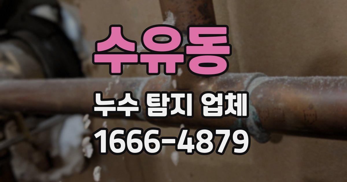 수유동 누수 탐지 업체