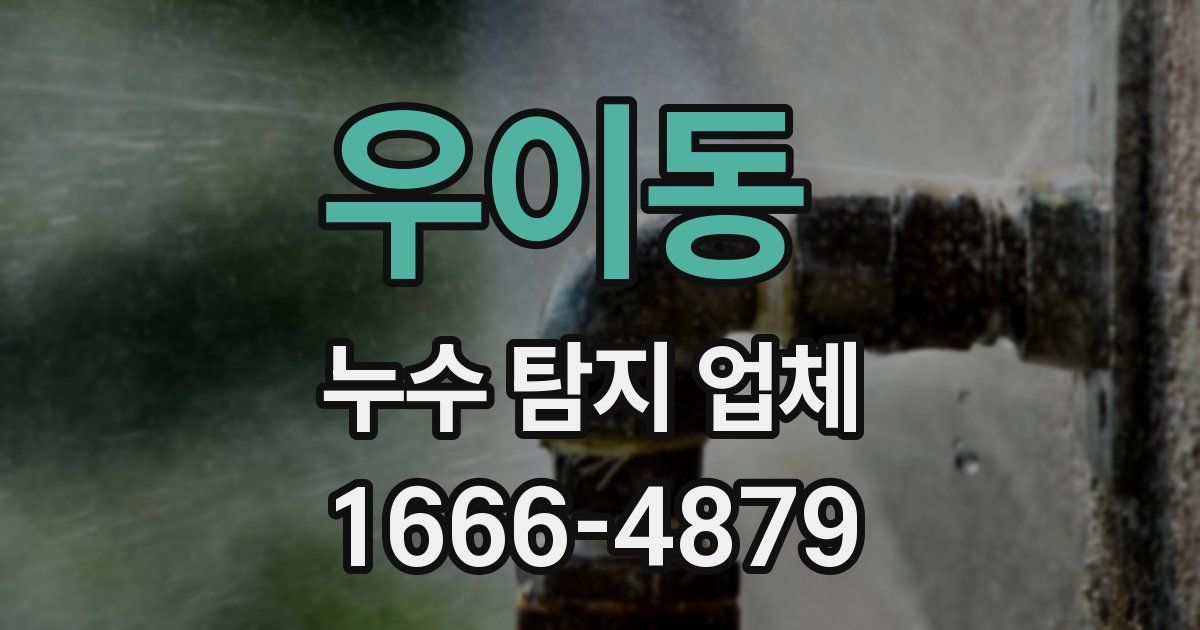우이동 누수 탐지 업체