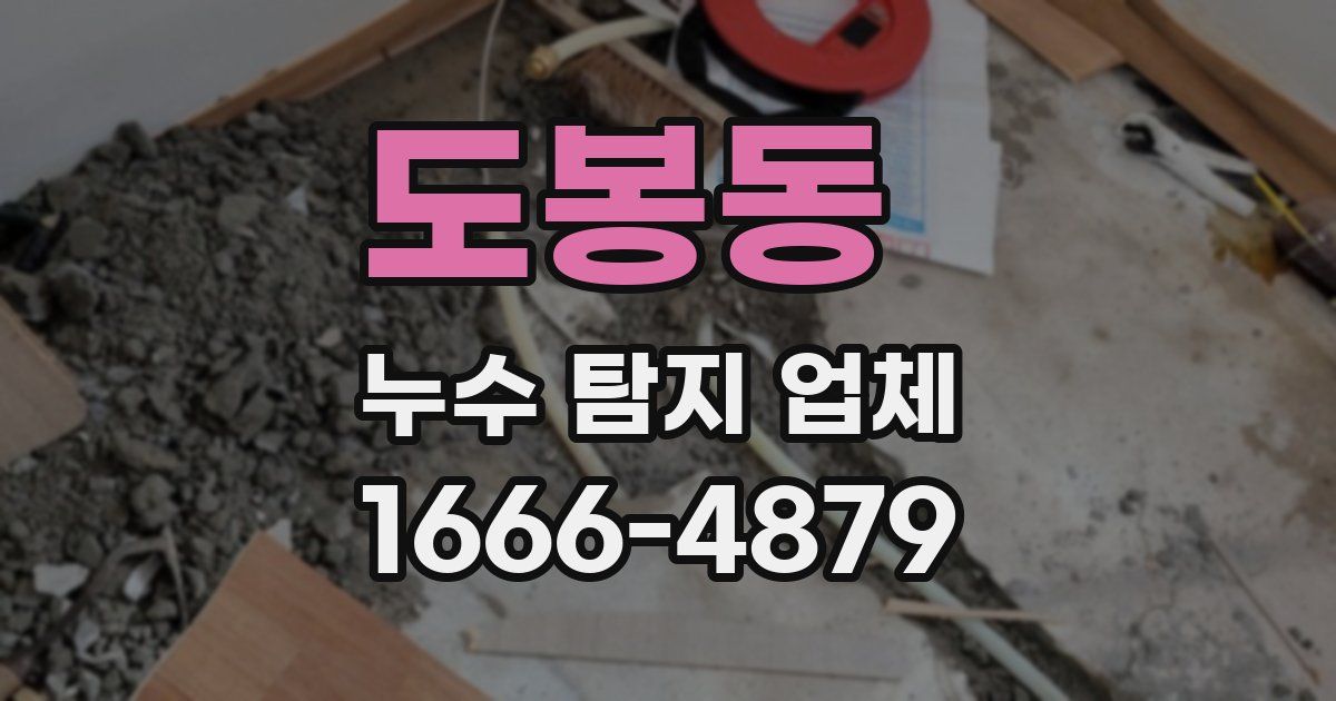 도봉동 누수 탐지 업체