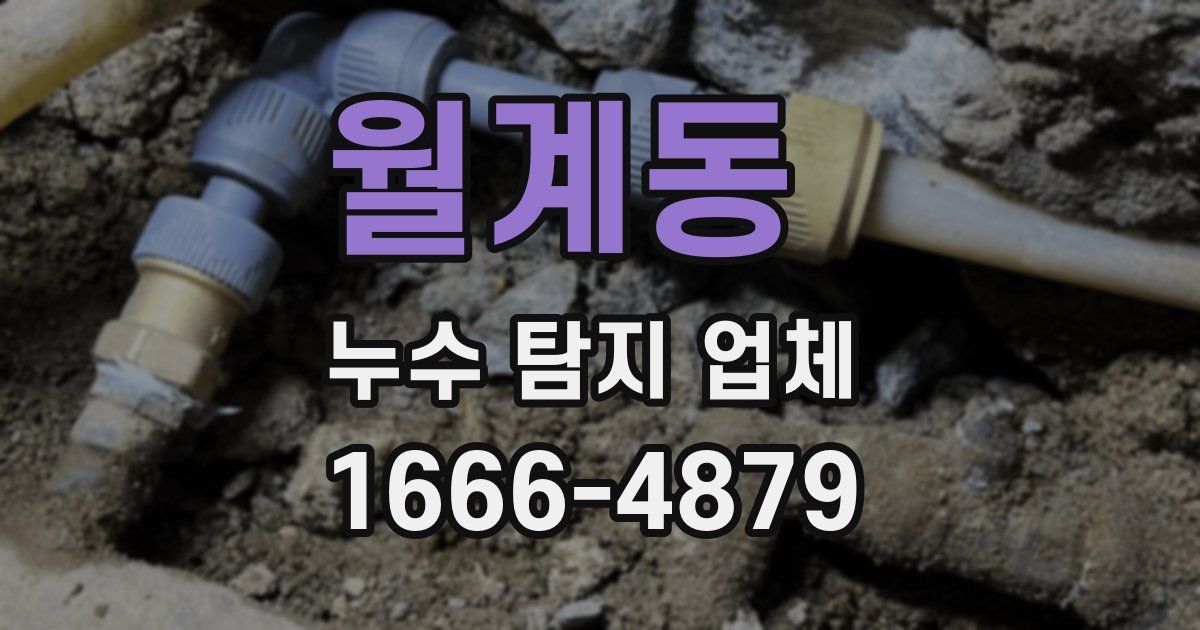 월계동 누수 탐지 업체