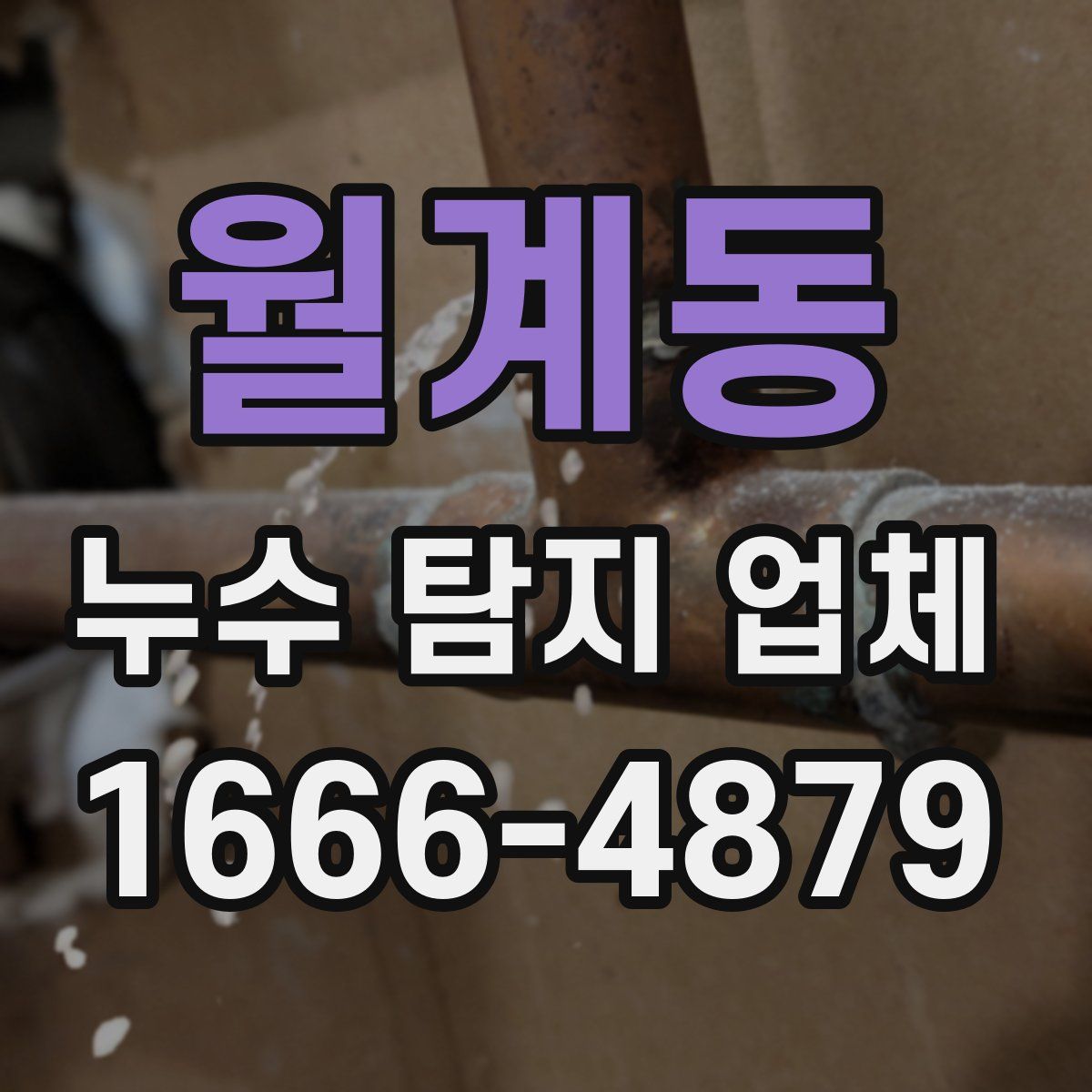 월계동 누수 탐지 업체
