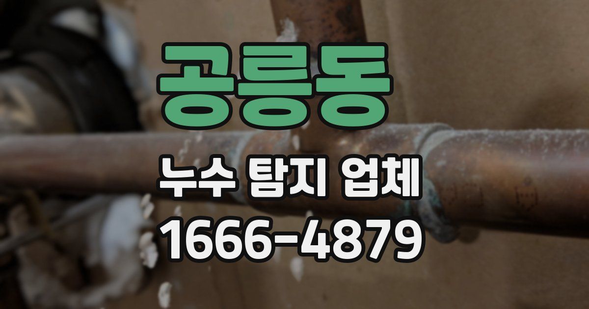 공릉동 누수 탐지 업체