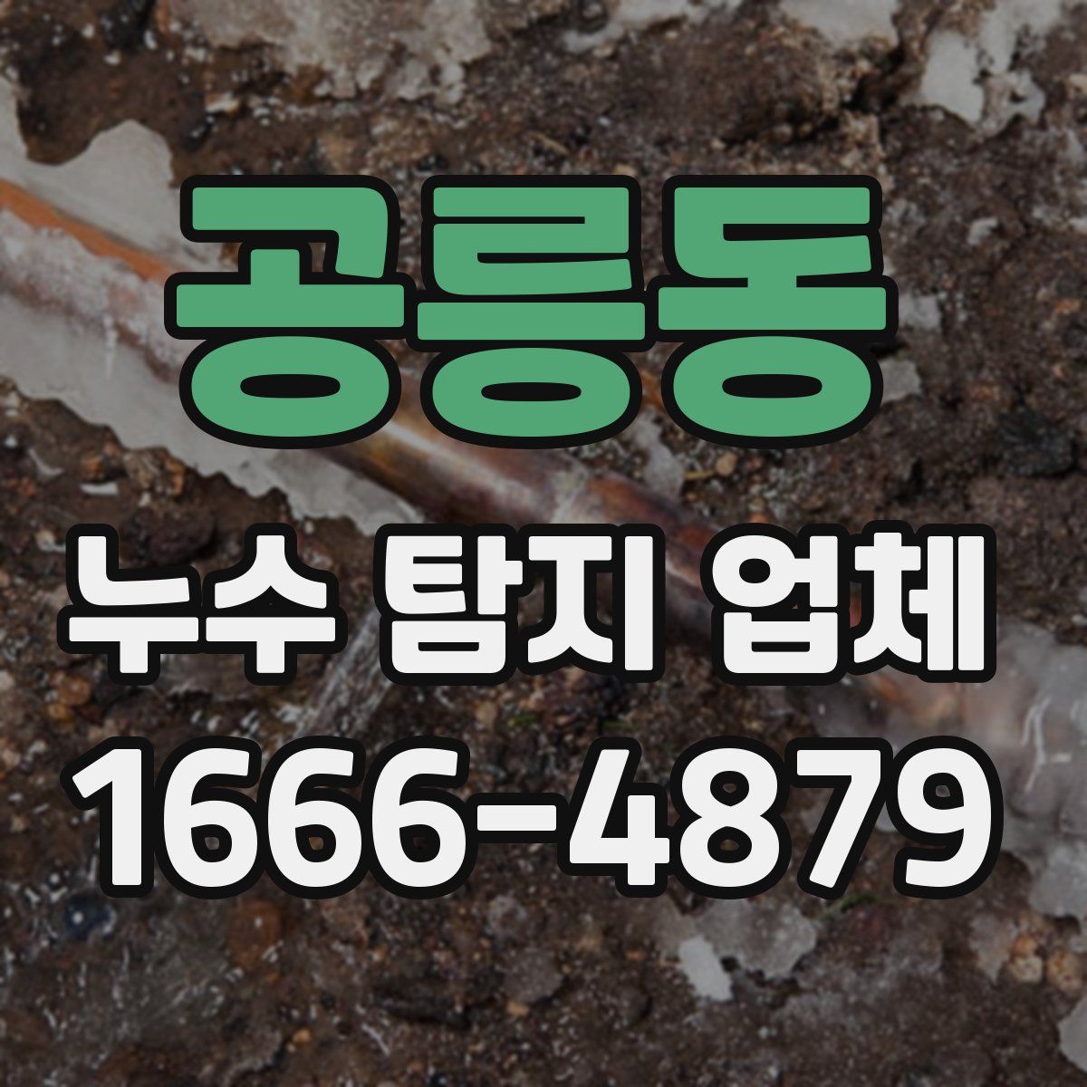 공릉동 누수 탐지 업체