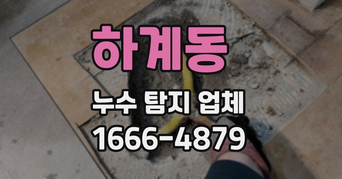 하계동 누수 탐지 업체