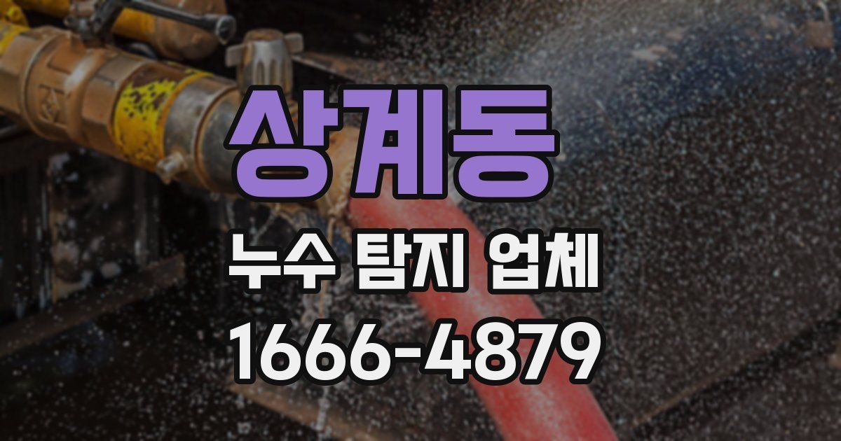 상계동 누수 탐지 업체