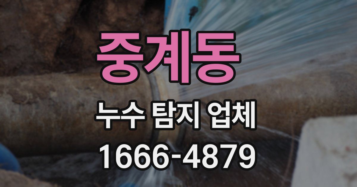 중계동 누수 탐지 업체