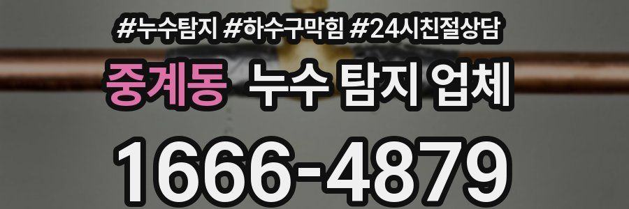 중계동 누수 탐지 업체