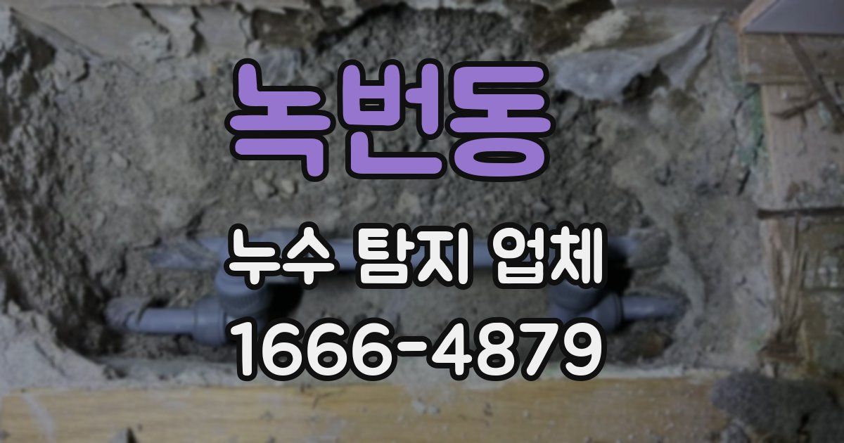 녹번동 누수 탐지 업체