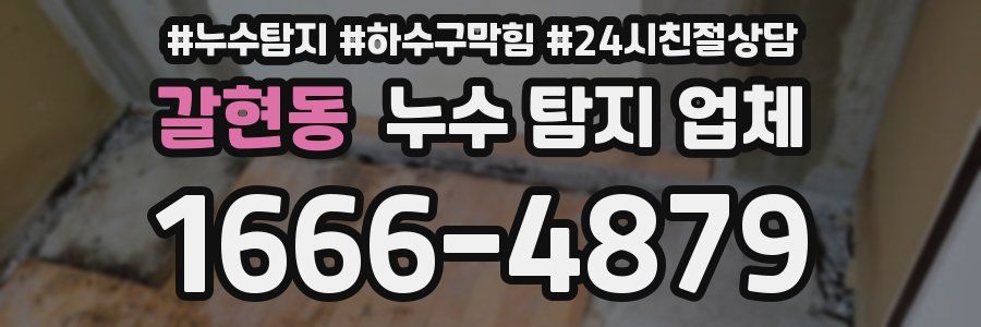 갈현동 누수 탐지 업체