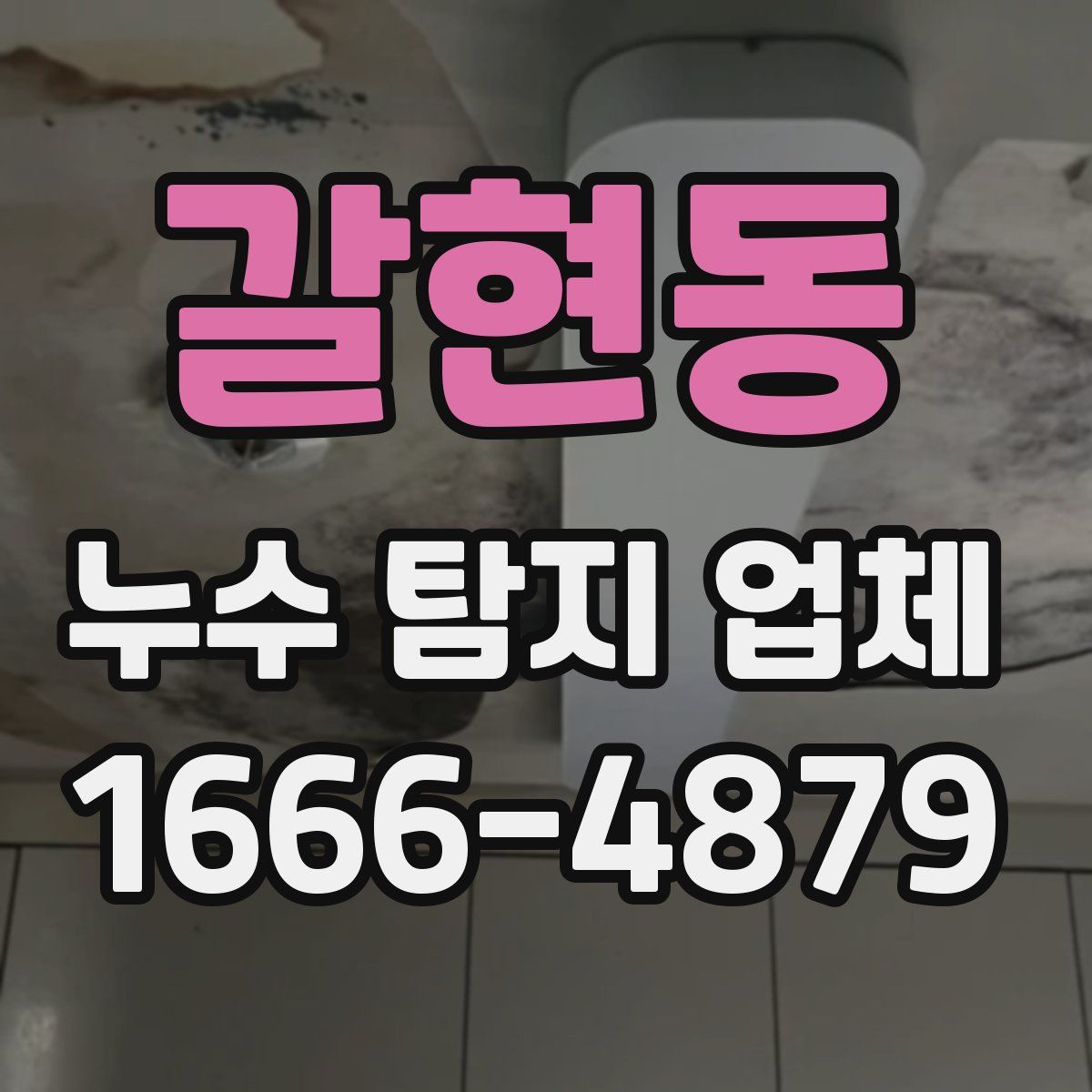 갈현동 누수 탐지 업체
