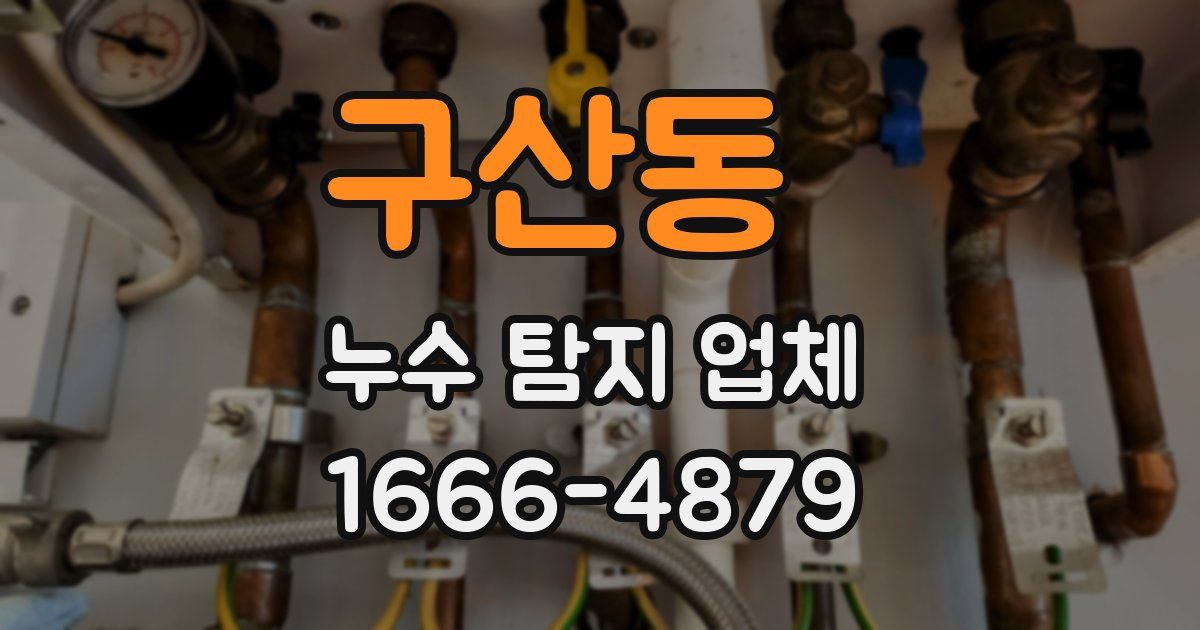 구산동 누수 탐지 업체