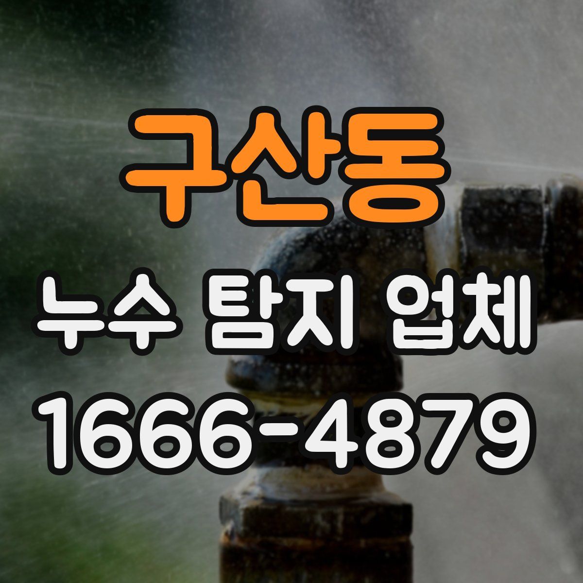 구산동 누수 탐지 업체