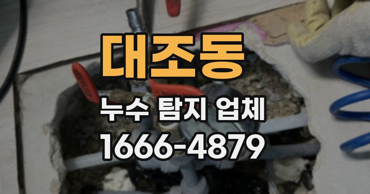 대조동 누수 탐지 업체