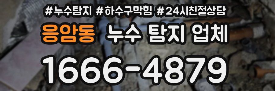 응암동 누수 탐지 업체