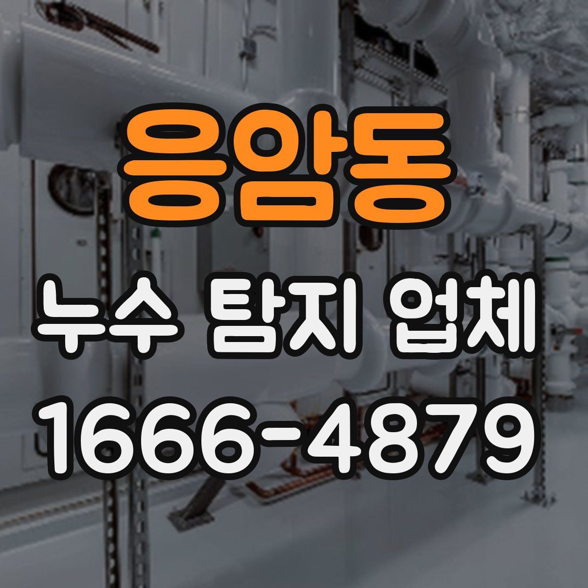 응암동 누수 탐지 업체