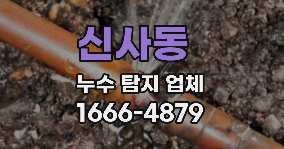 신사동 누수 탐지 업체