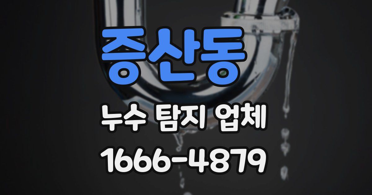 증산동 누수 탐지 업체