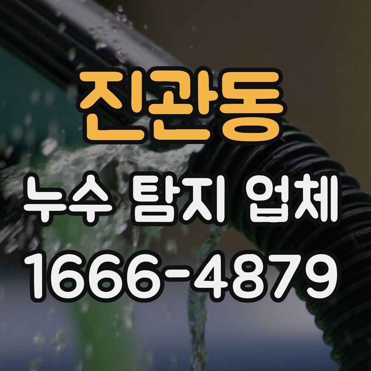 진관동 누수 탐지 업체