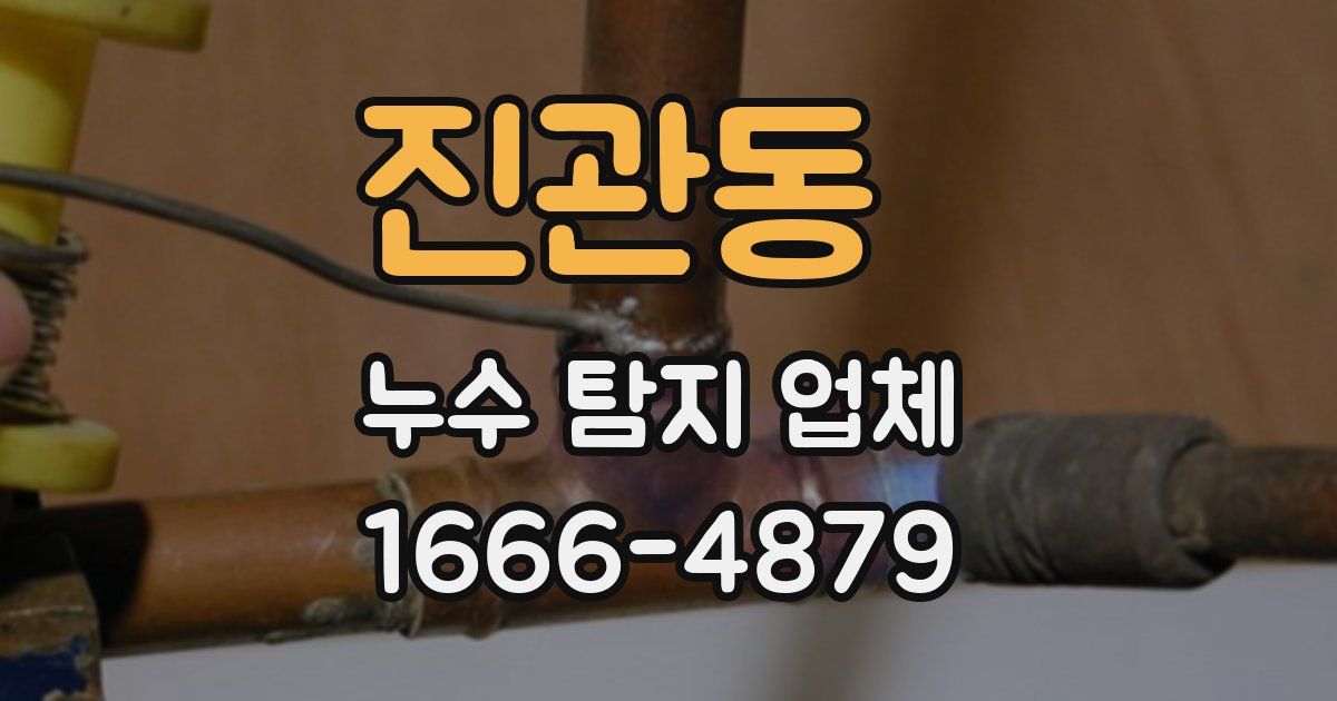 진관동 누수 탐지 업체