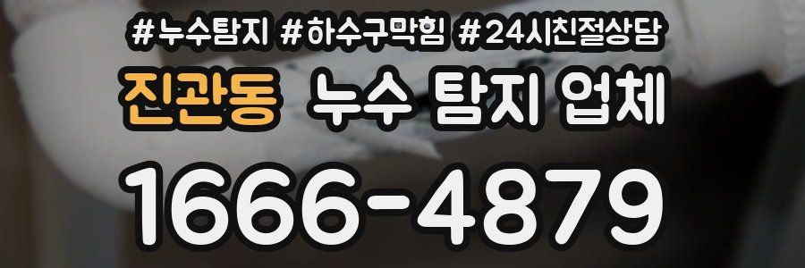 진관동 누수 탐지 업체