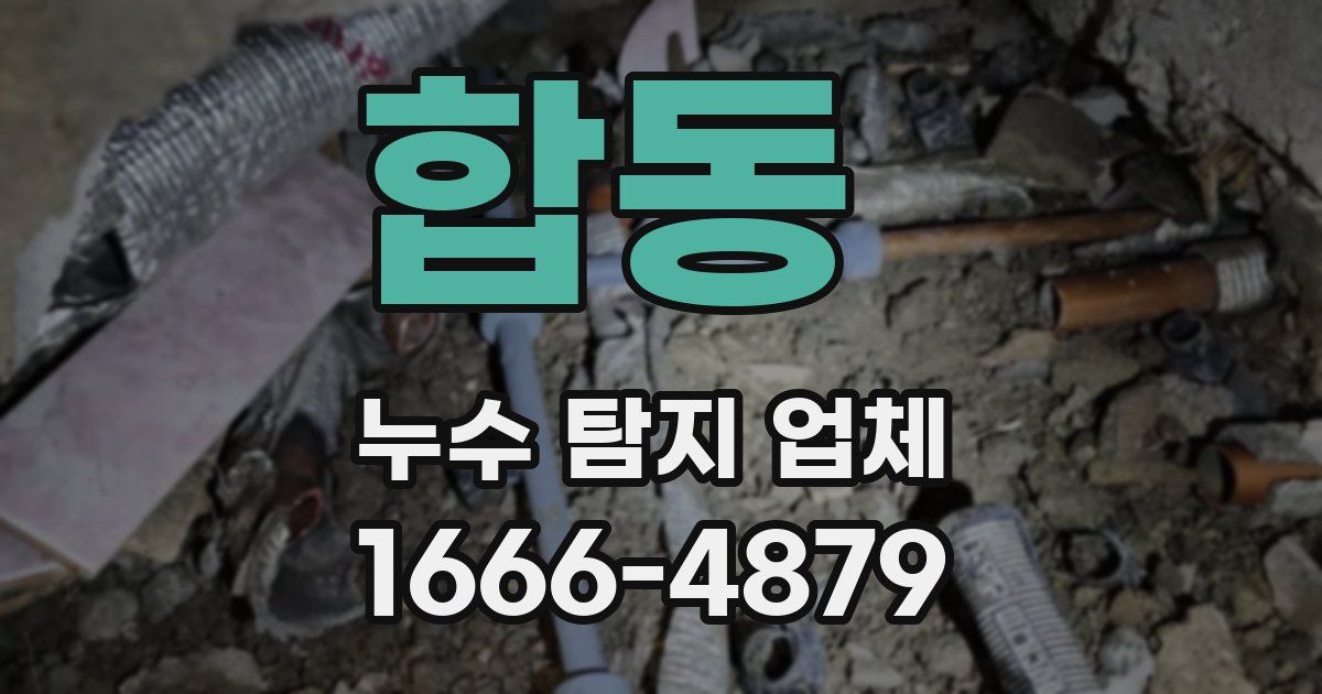 합동 누수 탐지 업체