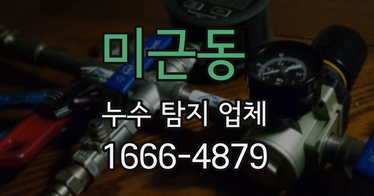 미근동 누수 탐지 업체
