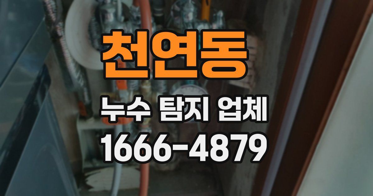 천연동 누수 탐지 업체