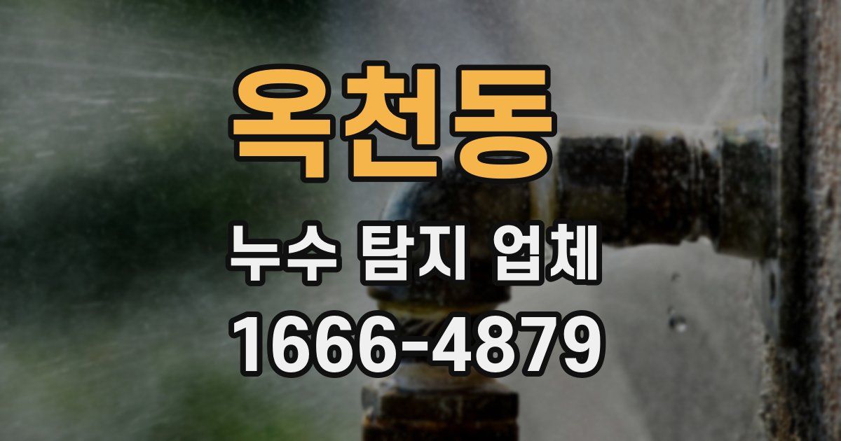 옥천동 누수 탐지 업체