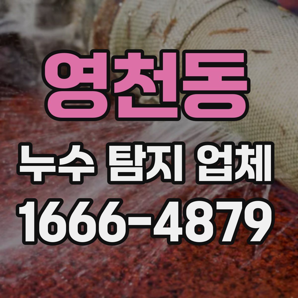 영천동 누수 탐지 업체