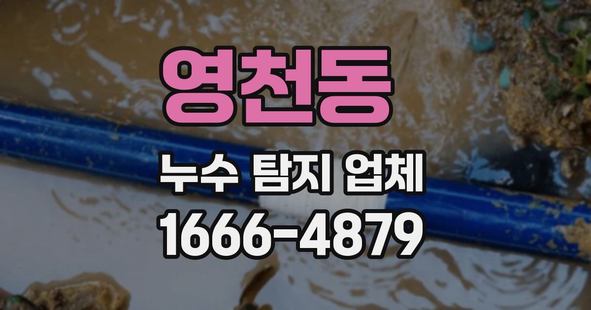 영천동 누수 탐지 업체