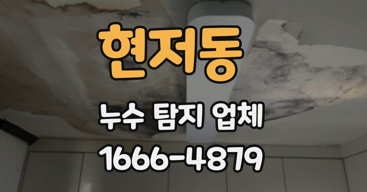현저동 누수 탐지 업체