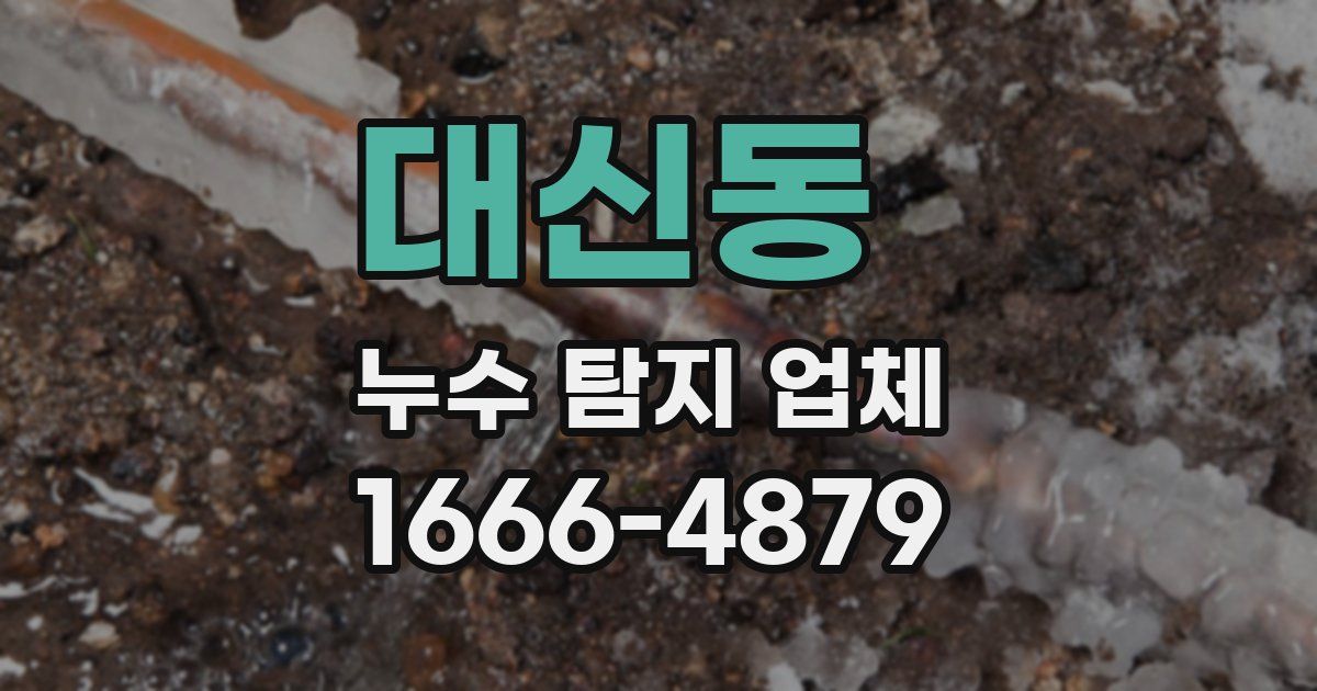 대신동 누수 탐지 업체