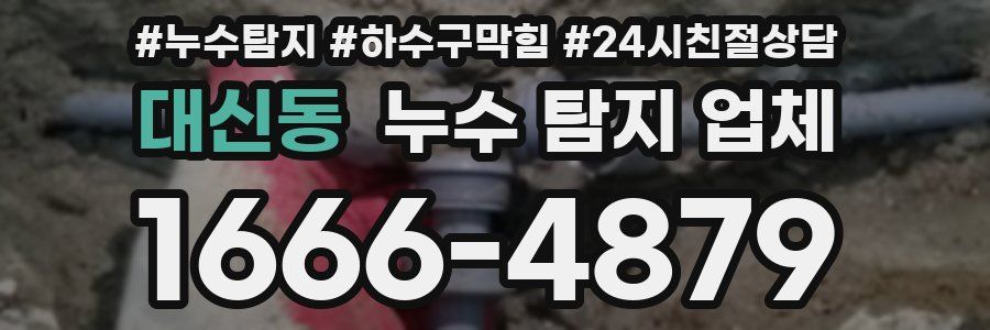 대신동 누수 탐지 업체