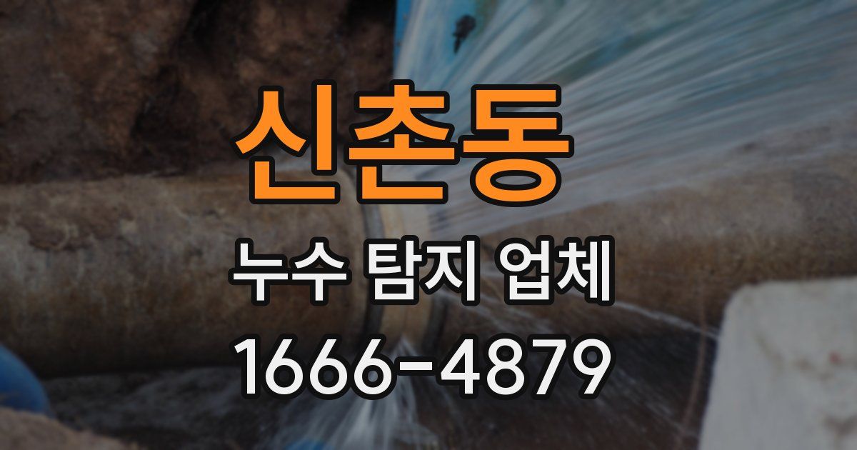 신촌동 누수 탐지 업체