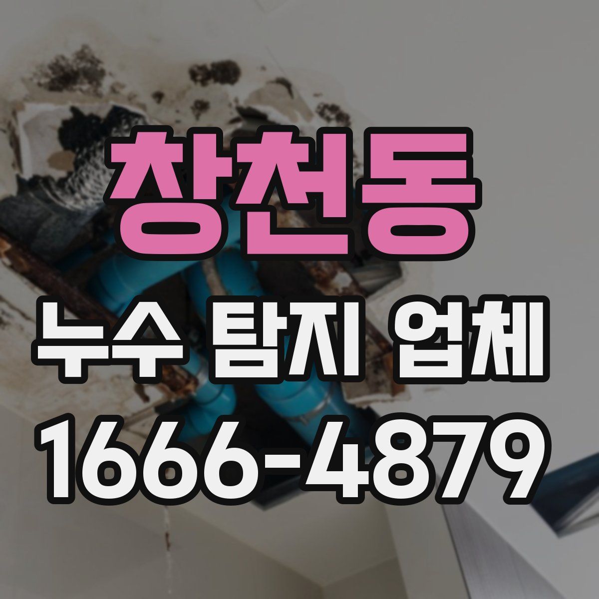창천동 누수 탐지 업체