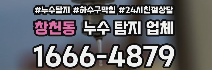 창천동 누수 탐지 업체