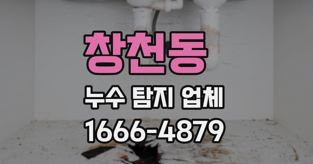 창천동 누수 탐지 업체