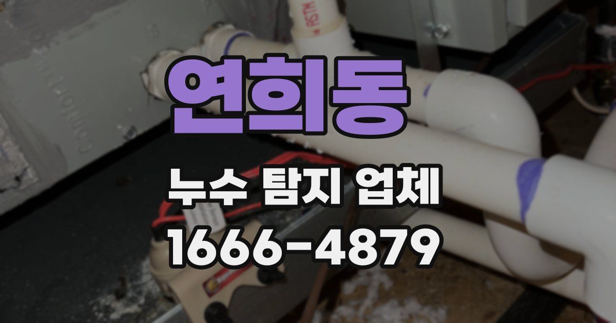 연희동 누수 탐지 업체