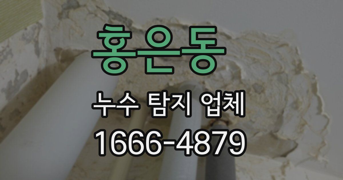 홍은동 누수 탐지 업체