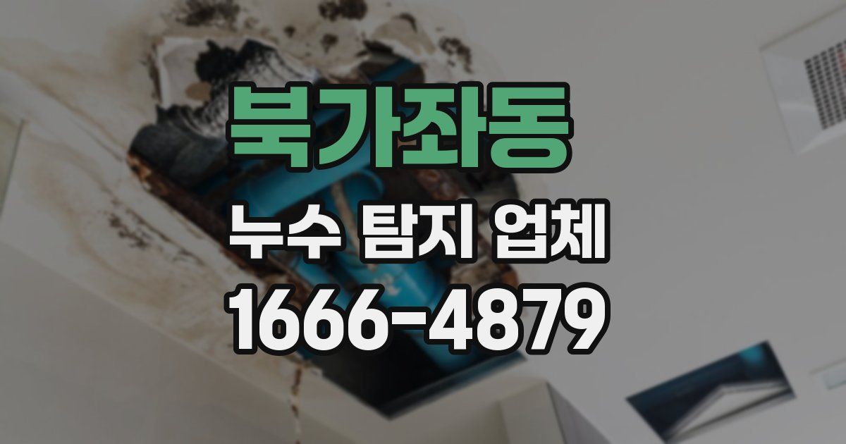 북가좌동 누수 탐지 업체