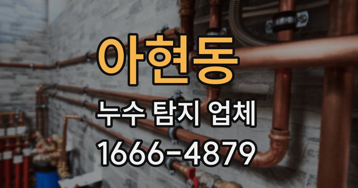 아현동 누수 탐지 업체