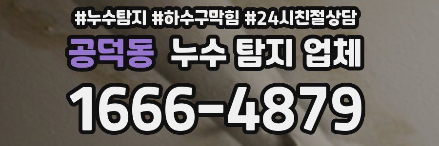 공덕동 누수 탐지 업체