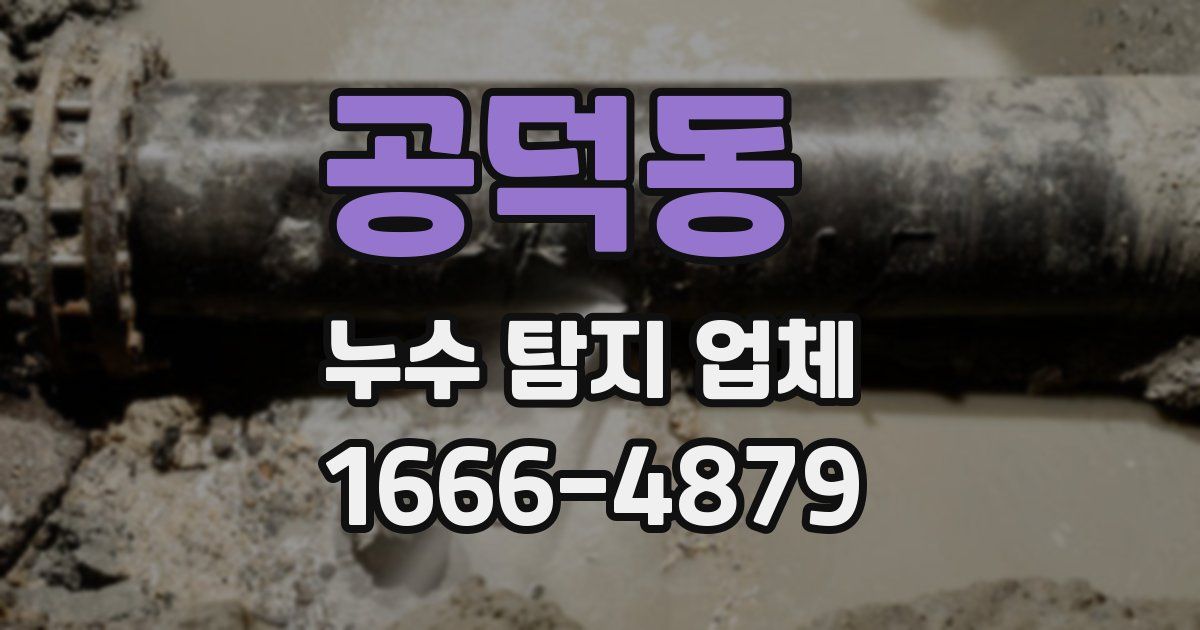 공덕동 누수 탐지 업체