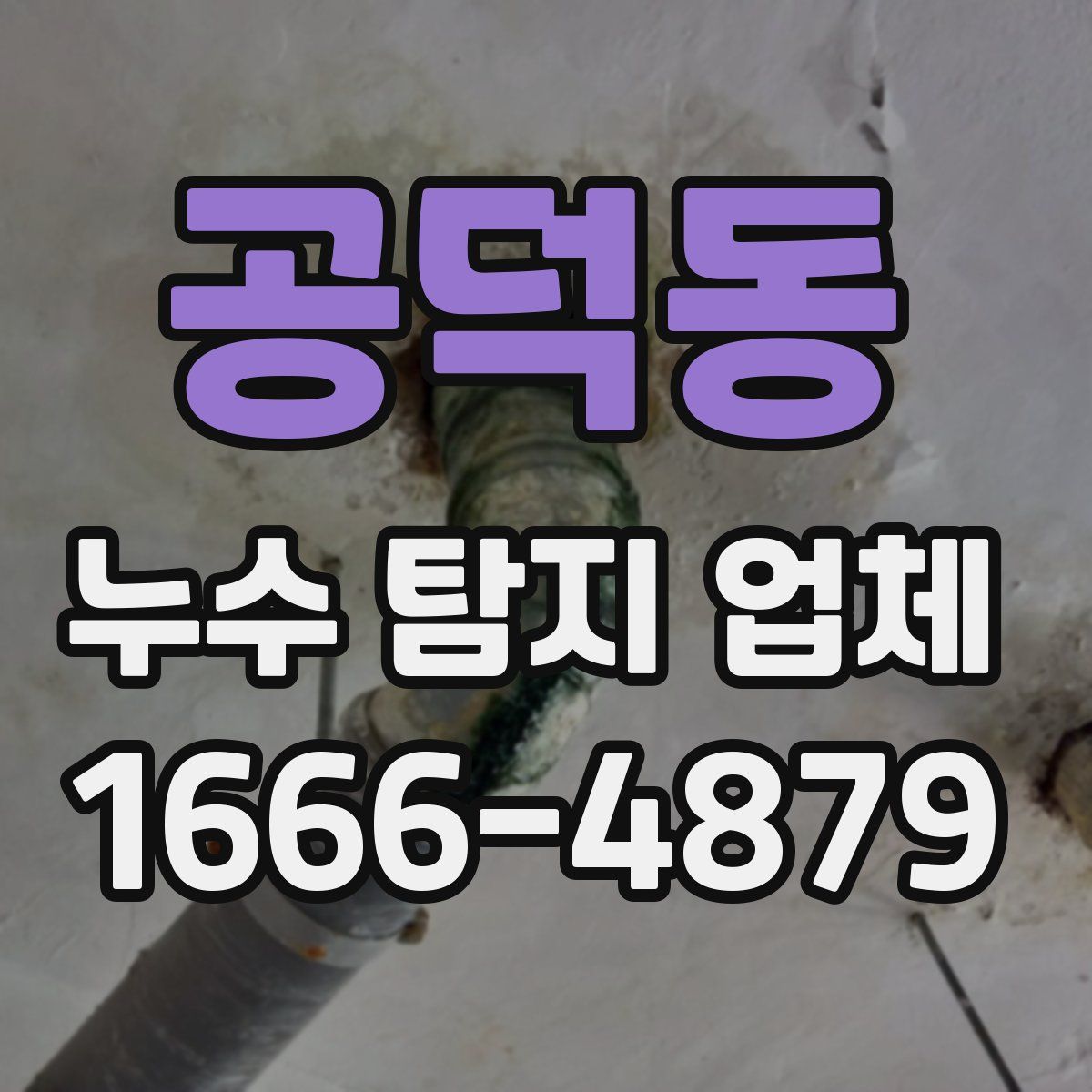 공덕동 누수 탐지 업체