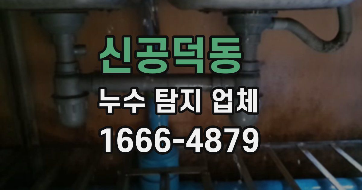 신공덕동 누수 탐지 업체
