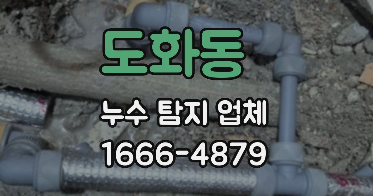 도화동 누수 탐지 업체