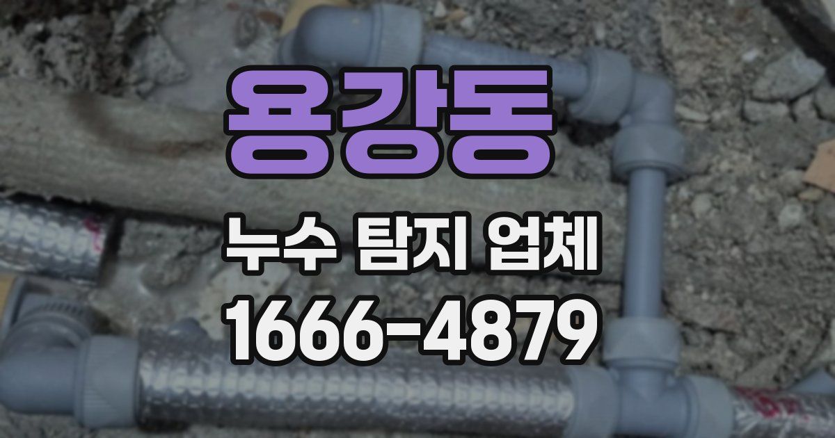 용강동 누수 탐지 업체