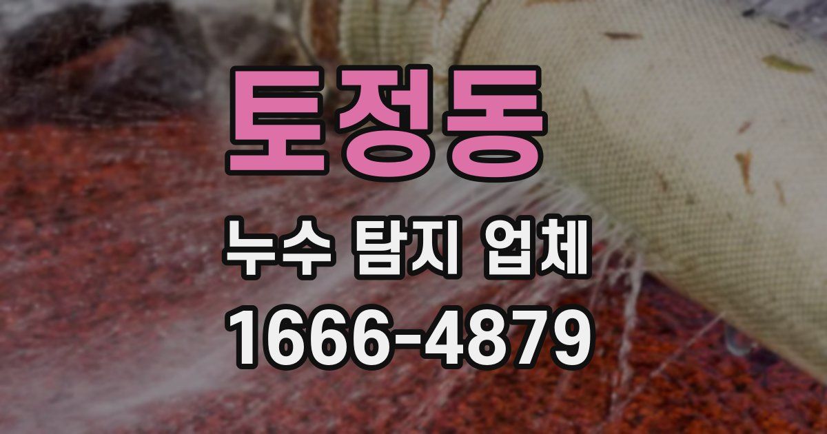 토정동 누수 탐지 업체