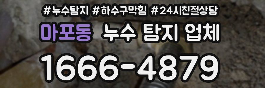 마포동 누수 탐지 업체