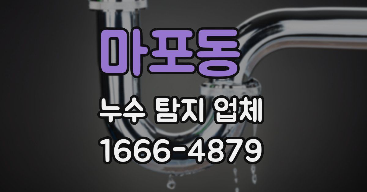 마포동 누수 탐지 업체
